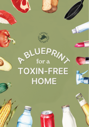 A Blueprint For A Toxin-Free Home